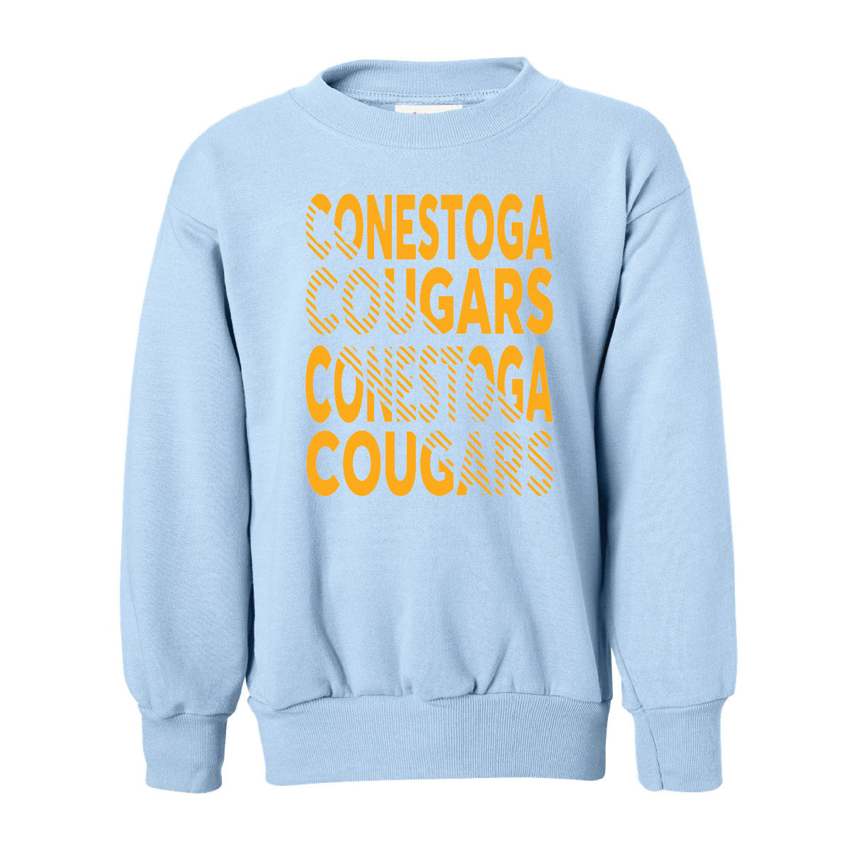 Conestoga Youth Sweatshirts - PREORDER