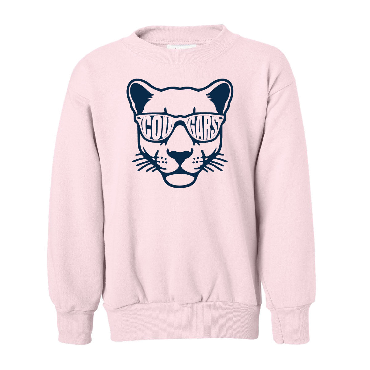 Conestoga Youth Sweatshirts - PREORDER